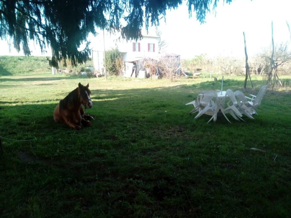 B&B De Carol Gramignazzo Bagian luar foto